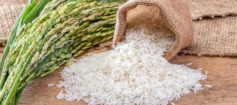 طرز پخت برنج ایرانی طارم هاشمی